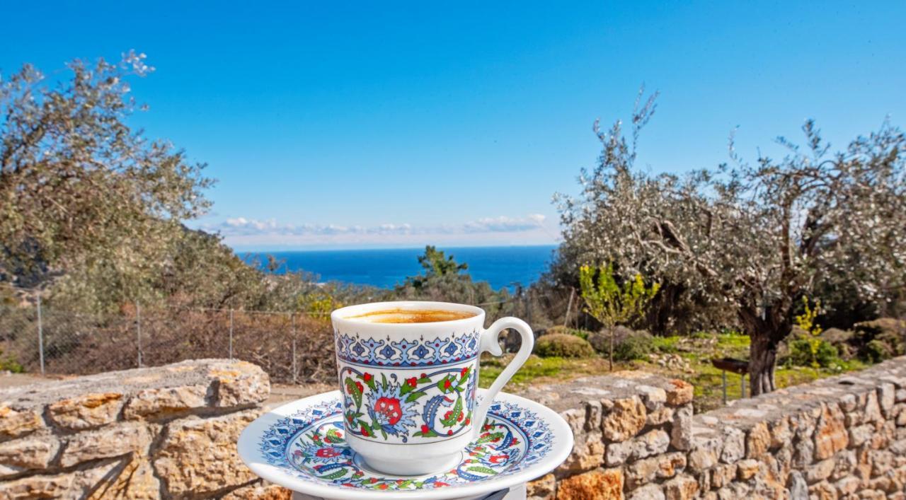 Sea Rock Villa Rodos Archangelos  Eksteriør billede